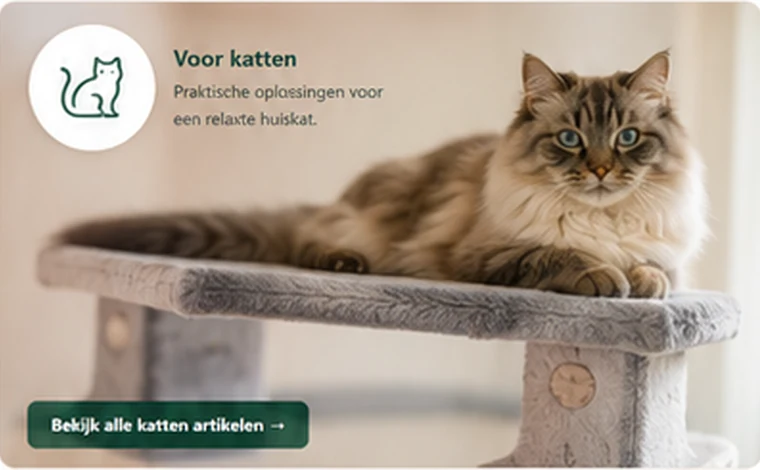 Kat op kattenmeubel