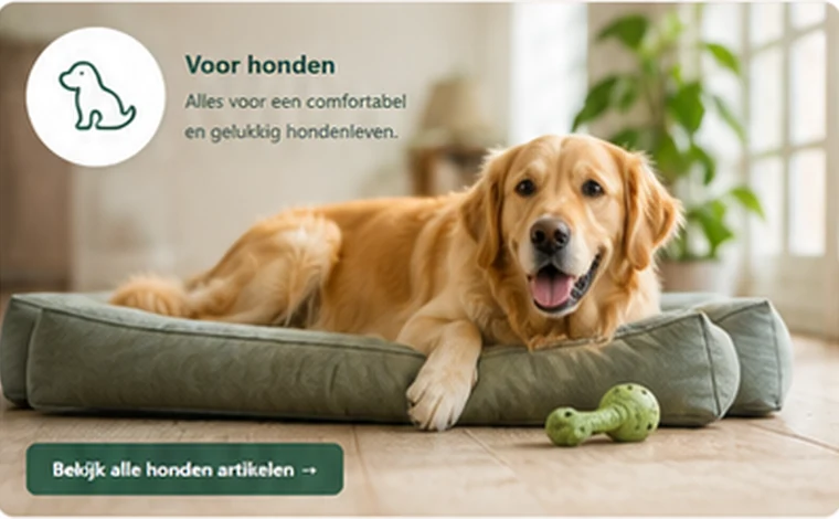 Hond op comfortabele hondenmand